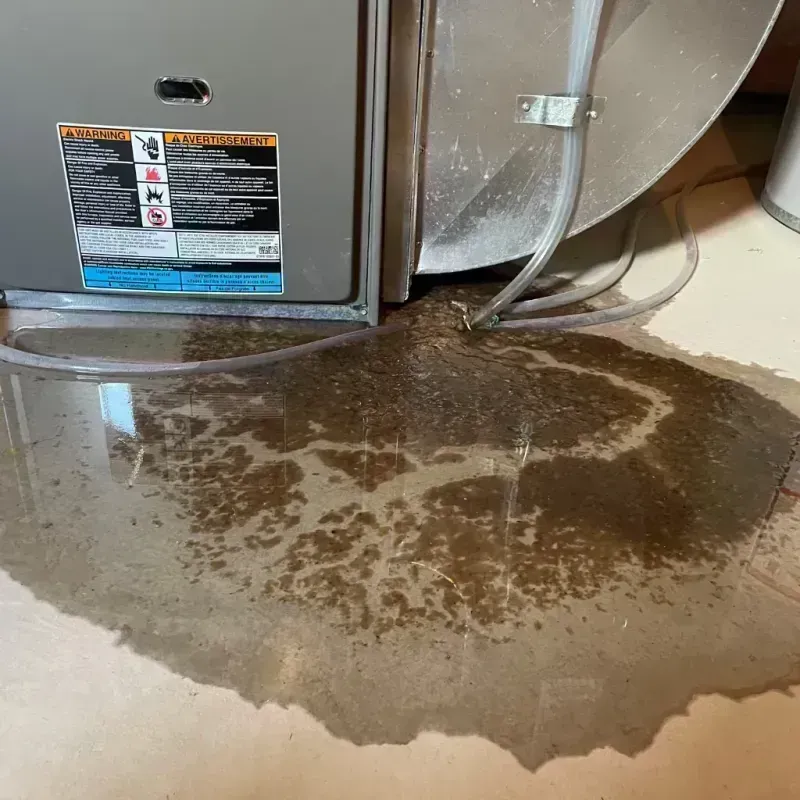 Appliance Leak Cleanup in Fruitvale, CO